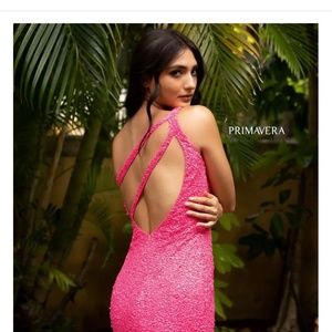 Primavera Homecoming Dress- size 2